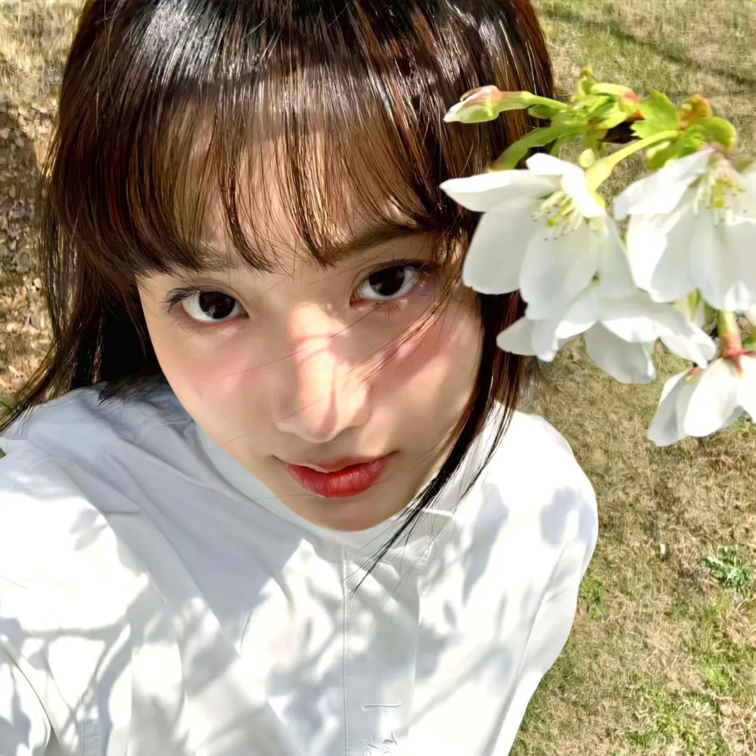 红槐花