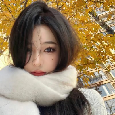 小乌龟福兰克林